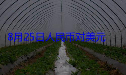 人民币对美8月25日元中间价报1元 上调点160个基